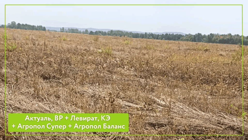 Подготовка залежи под Агрополигон 2026