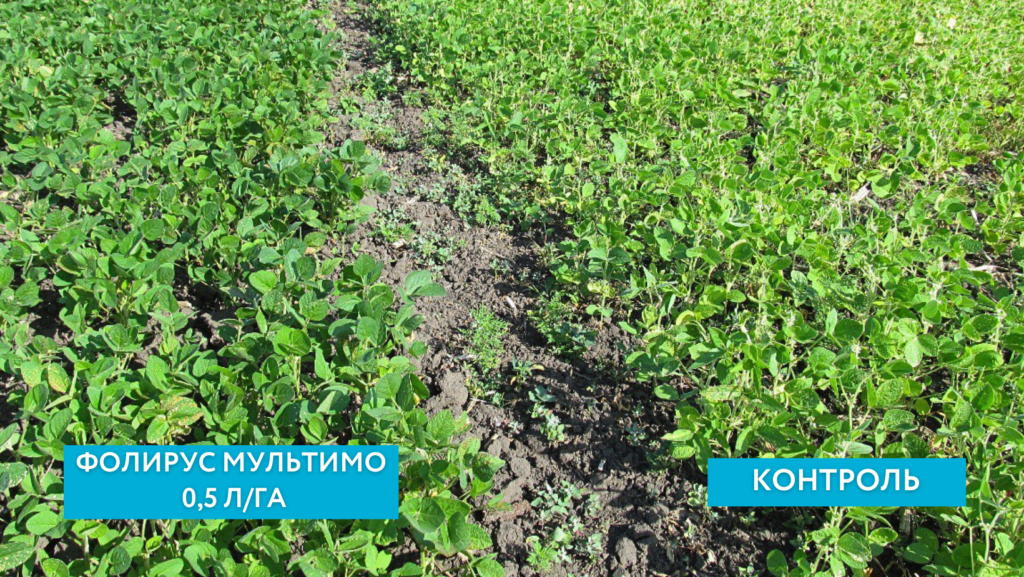 Фолирус Эликсир МультиМо на сое