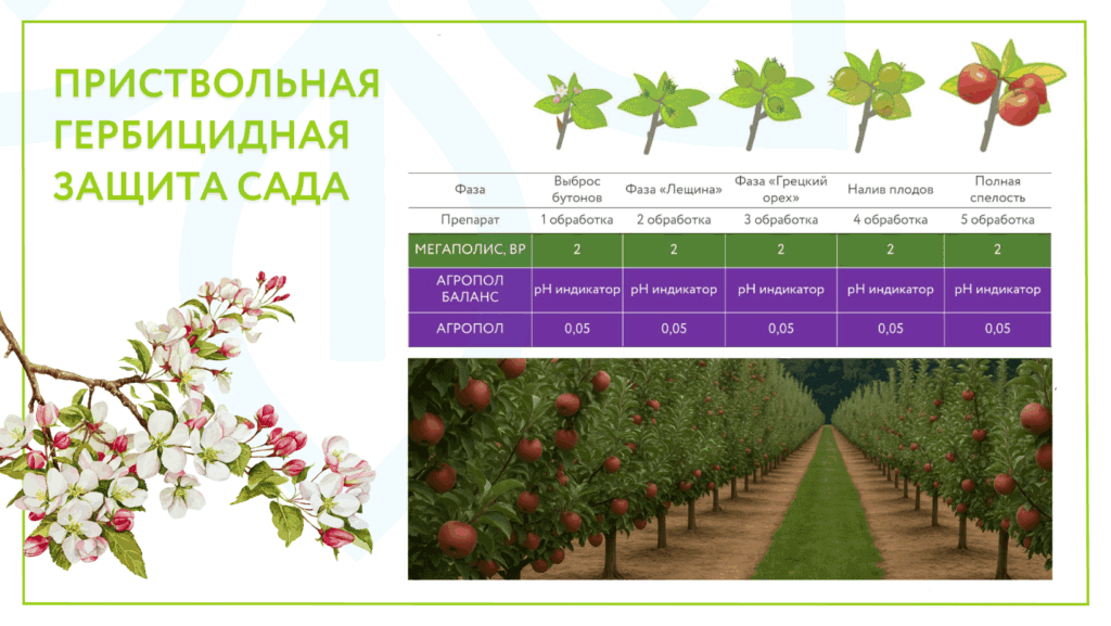 Приствольная гербицидная защита сада — контроль сорняков на весь сезон