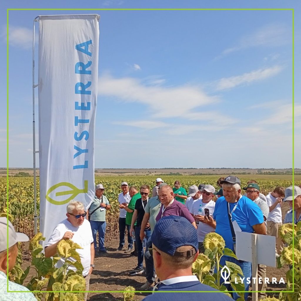 День поля в Воронежской области