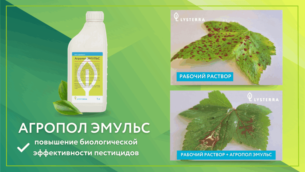 Адъювант, который работает: как улучшить качество обработки полей